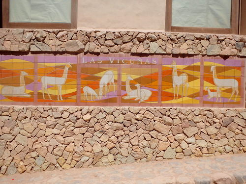 Vicu&ntilde;as are Wild Lamas, tomorrow we will see four different herds.